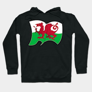 flag of Wales - sports, flags, and culture inspired designs Hoodie